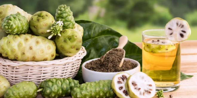 Khasiat Jus Mengkudu Bagi Kesehatan Tubuh
