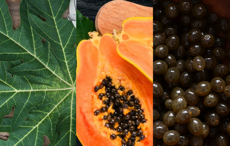 Cara Menggunakan Sabun Pepaya agar Cepat Putih