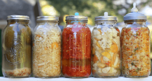 Makanan Fermentasi yang Mudah Dibuat