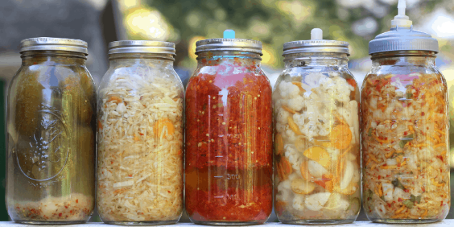 Makanan Fermentasi yang Mudah Dibuat