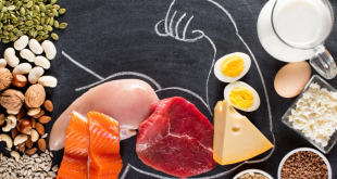 Cara Menghitung Kebutuhan Protein yang Tepat