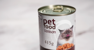 Cara Menyimpan Makanan Basah Kucing yang Baik