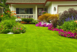 Tips Membuat Taman Minimalis Depan Rumah
