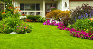 Tips Membuat Taman Minimalis Depan Rumah