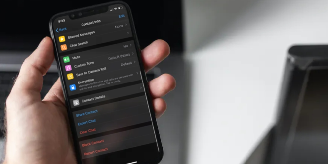 Cara Melihat Daftar Nomor yang Diblokir di iPhone