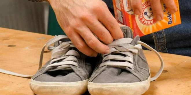 Cara Ampuh Menghilangkan Bau Sepatu