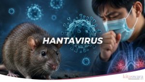 Hantavirus Penyakit Apa? Kenali Gejala, Penularan, dan Apakah Sudah Ada di Indonesia