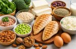 makanan tinggi protein untuk diet
